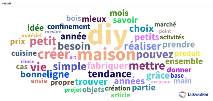 Nuage de mots des DIY grâce à l’outil Quick Search. 